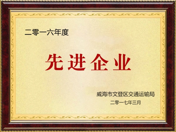 2016年度先進企業(yè)