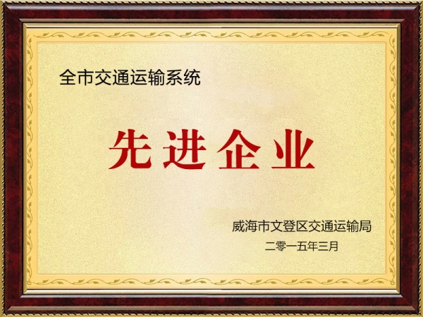 全區(qū)交通運輸系統(tǒng)先進企業(yè)